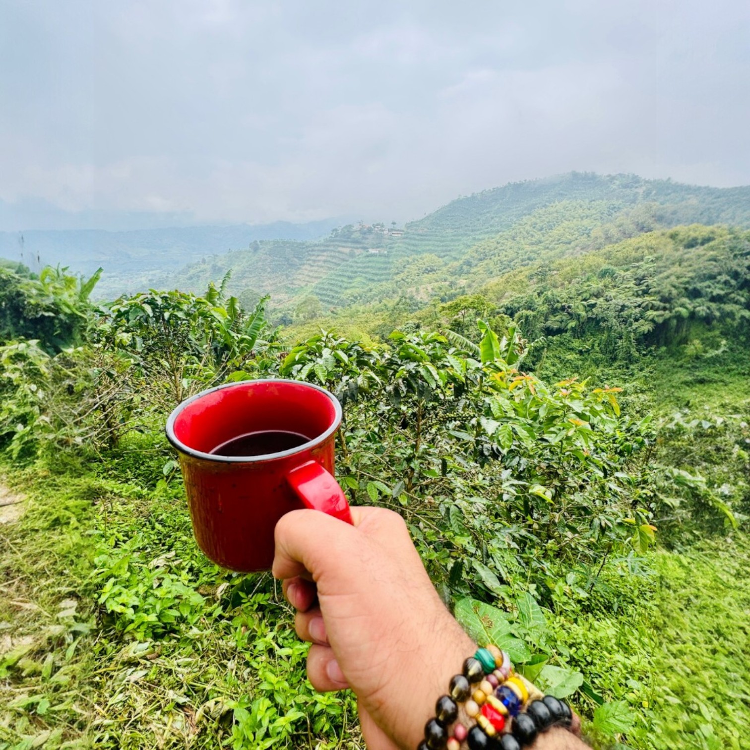 farm colombia-Photoroom